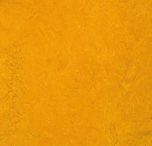 Marmoleum Fresco Golden Sunset 3125-79105-cut