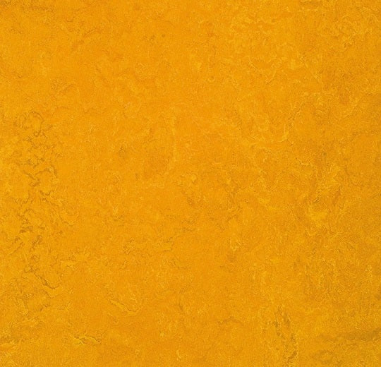 Marmoleum Fresco Golden Sunset 3125-79105-cut