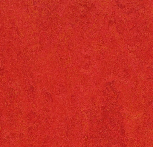 Marmoleum Fresco Scarlet 3131-cut