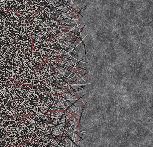 Flotex Created by Starck Vortex Ruby A4 314002-cut