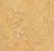 Marmoleum Real Van Gogh 3173-79105-cut