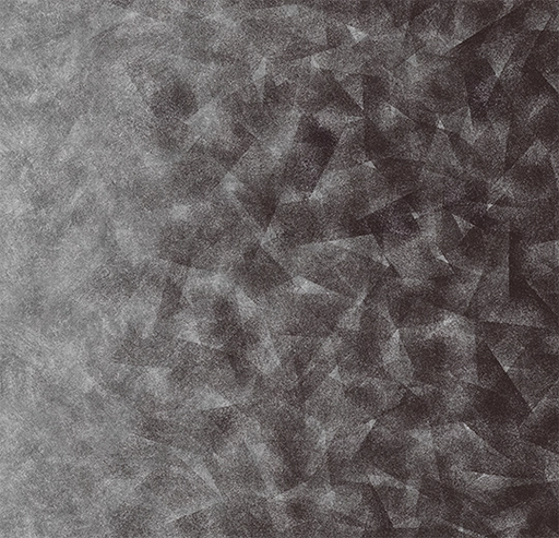 Flotex Created by Starck Artist Anthracite / Silver B2 322008-cut