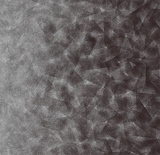 Flotex Created by Starck Artist Anthracite / Silver B2 322008-cut