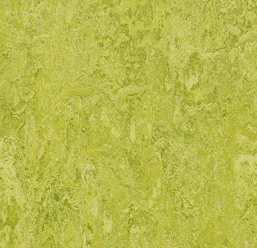 Marmoleum Real Chartreuse 3224-79105-cut