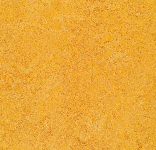 Marmoleum Real Dandelion 3225-cut