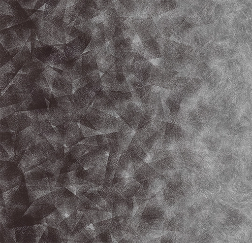 Flotex Created by Starck Artist Anthracite / Silver B4 324008-cut