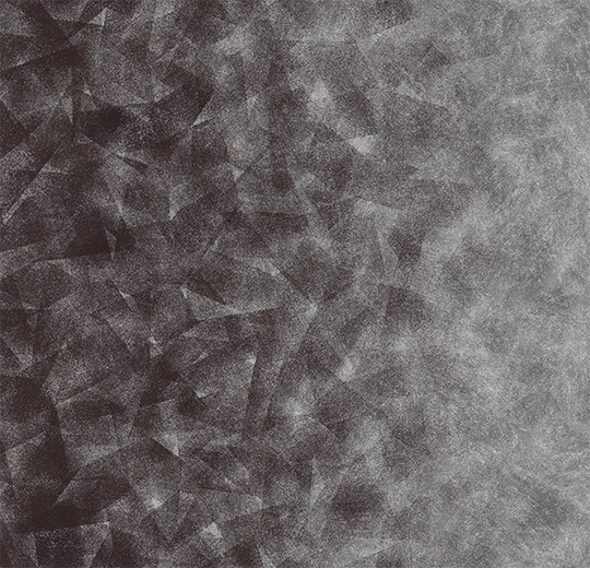 Flotex Created by Starck Artist Anthracite / Silver B4 324008-cut