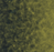 Flotex Created by Starck Artist Emerald / Chartreuse 324012-cut