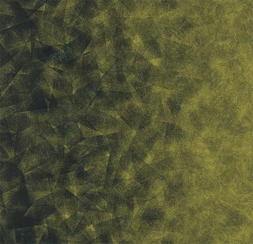 Flotex Created by Starck Artist Emerald / Chartreuse 324012-cut