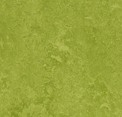 Marmoleum Fresco Green 3247-cut