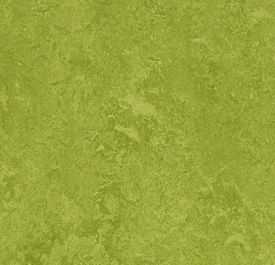 Marmoleum Fresco Green 3247-cut