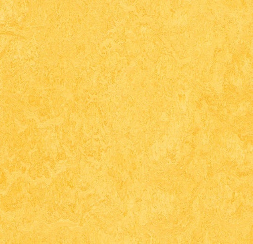 Marmoleum Composition Sheet MCS Lemon Zest 3251-cut