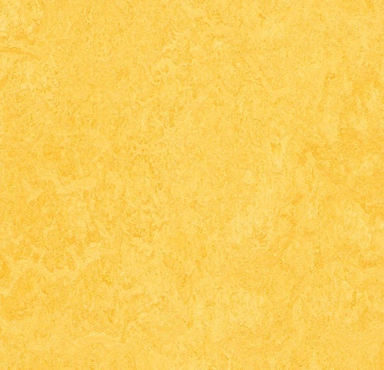 Mcs Sheet Forbo Marmoleum Composition Sheet MCS 3251 Lemon Zest Sheet Linoleum ...