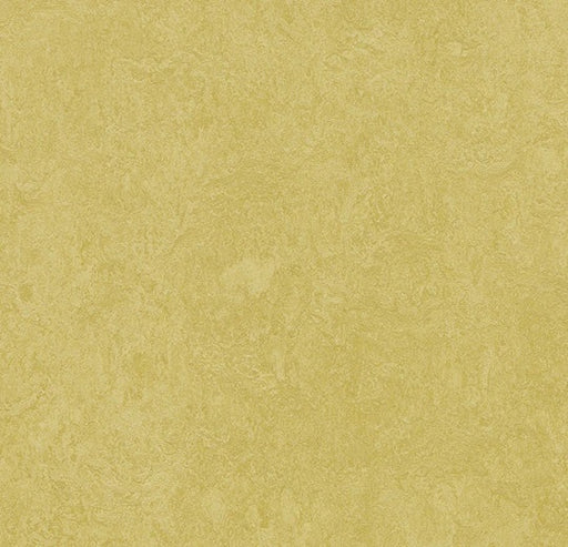 Marmoleum Fresco Mustard 3259-cut