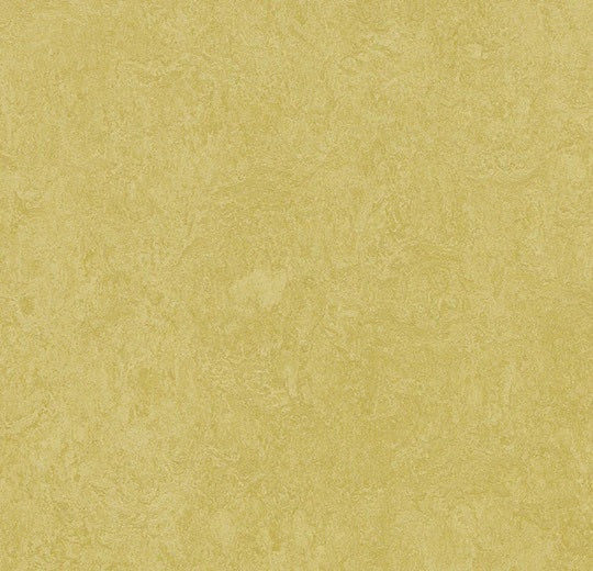 Marmoleum Fresco Mustard 3259-cut