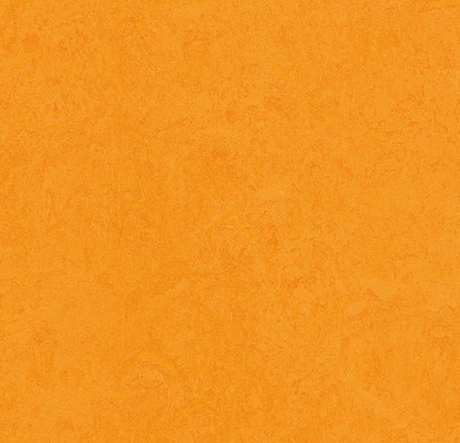 Marmoleum Fresco Marigold 3262-cut