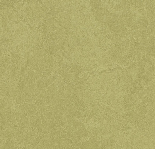 Marmoleum Fresco Avocado 3265-cut