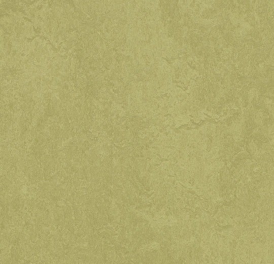 Marmoleum Fresco Avocado 3265-cut