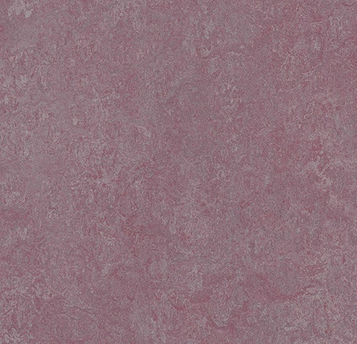 Marmoleum Real Plum 3272-cut