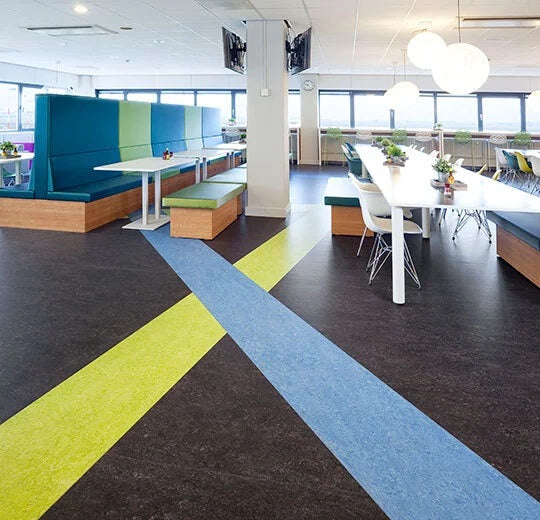 Marmoleum Cinch Loc Seal Dark Bistre Linoleum 333236