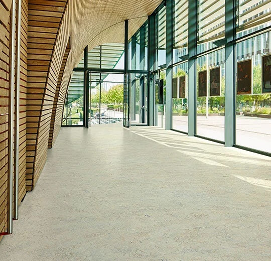 Marmoleum Cinch Loc Seal Seashell Linoleum 933428 Smooth