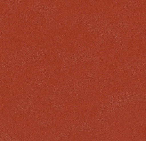 Marmoleum Walton Uni and Cirrus Berlin Red 3352-cut