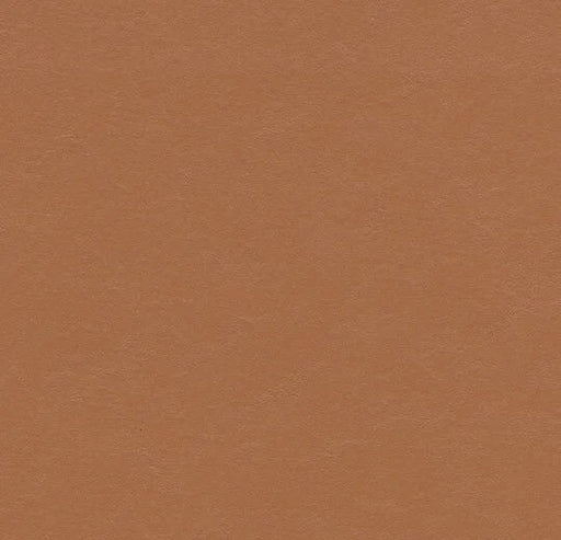 Marmoleum Walton Uni and Cirrus Terracotta Linoleum 3370-cut