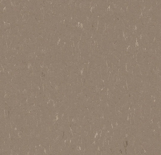 Marmoleum Piano Otter 3631-cut