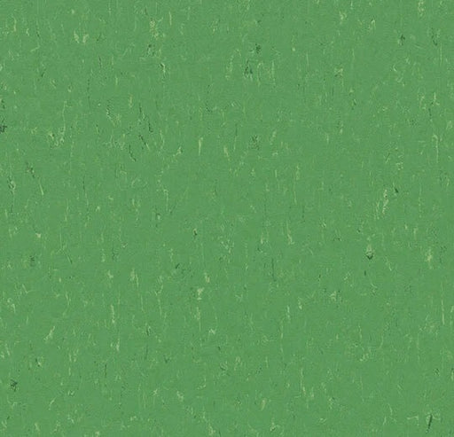 Marmoleum Piano Nettle Green 3647-cut