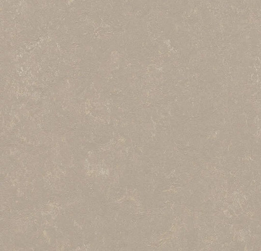 Marmoleum Decibel Fossil Linoleum 370835-cut