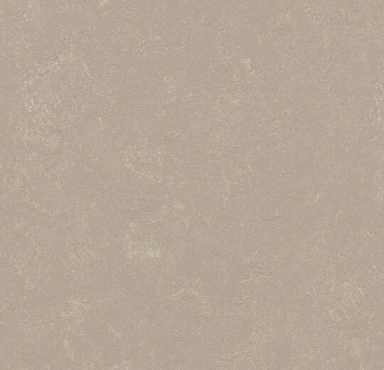 Taupe Linoleum