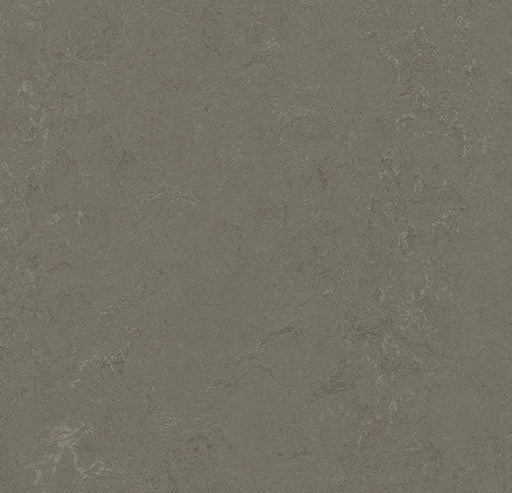 Marmoleum Decibel Nebula Linoleum 372335-cut