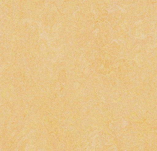 Marmoleum Fresco Natural Corn 3846-79105-cut