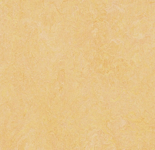 Marmoleum Composition Sheet MCS Natural Corn 3846-cut