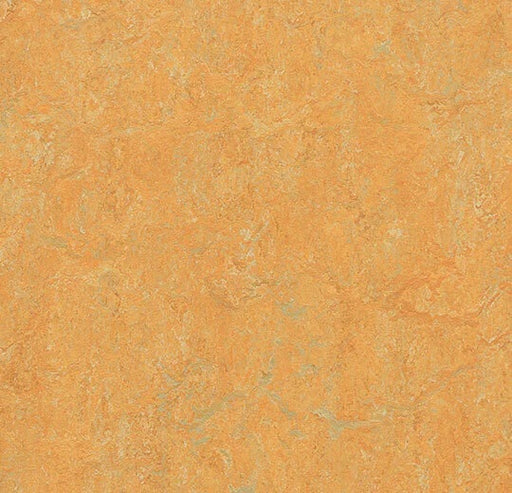 Marmoleum Real Golden Saffron 3847-79105-cut