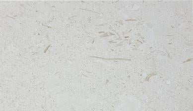 Full Tile Sample - Pietra Antica Antique Stones Sand Key Shell Stone Natural Stone Tile - 4" x 8" Brushed