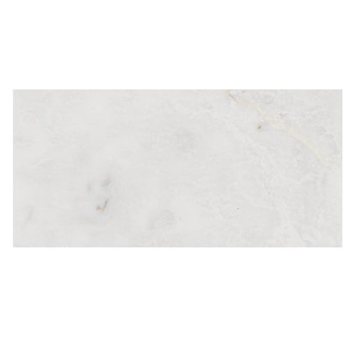 Full Tile Sample - Iceberg Deco Natural Stone Tile - 4" x 8" Polished