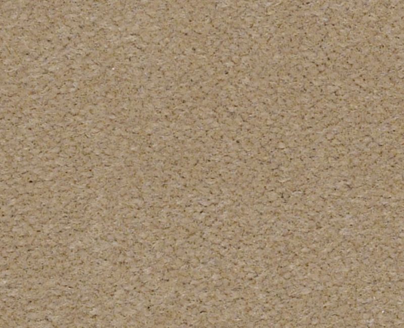 Emphatic Ii Philadelphia Commercial Emphatic II 30 00151 Beige Nylon Carpet — Stone ...