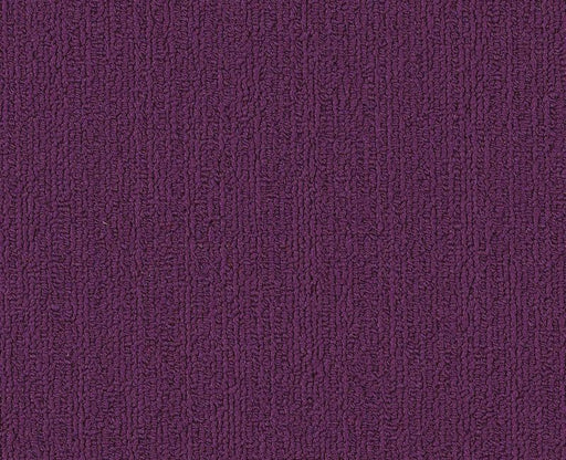 Color Accents Bl Purple 00901