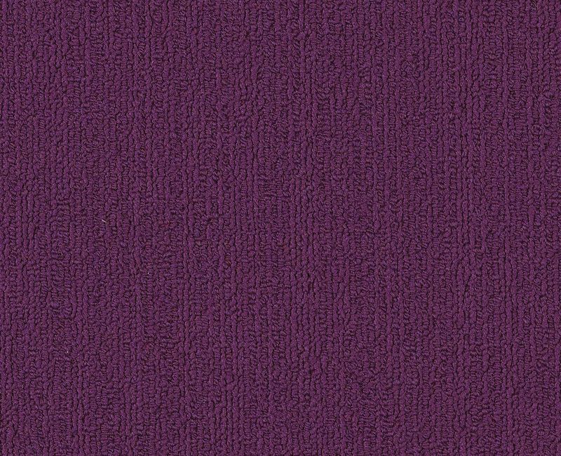 Color Accents Bl Purple 00901