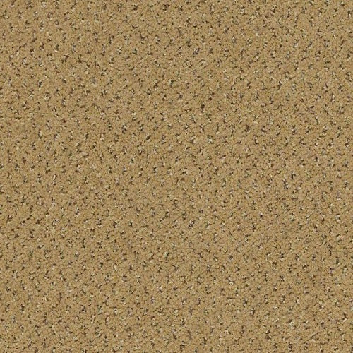 Profusion Bl 13 Medium Grey 00505 Loop Polyester