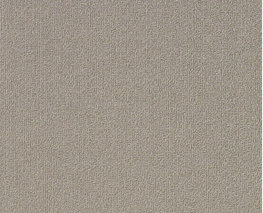  Color Accents Med Gray 00155