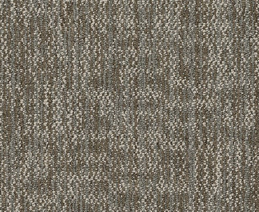 Beyond Basic Crazy Smart Warm Gray 00515