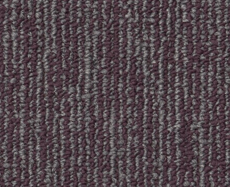 Fundamental Engrain Purple 00900