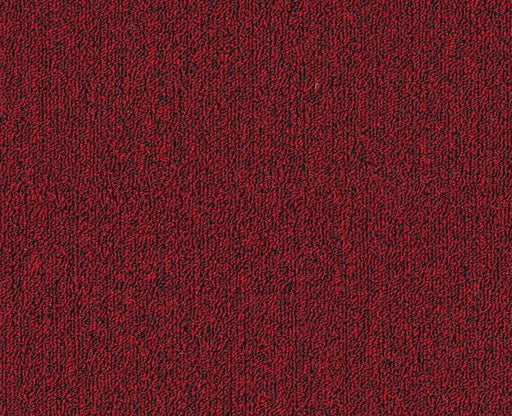 Profusion Bl 20 Dark Red 00830