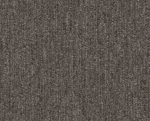 Profusion Bl 13 Taupe / Brown 00702