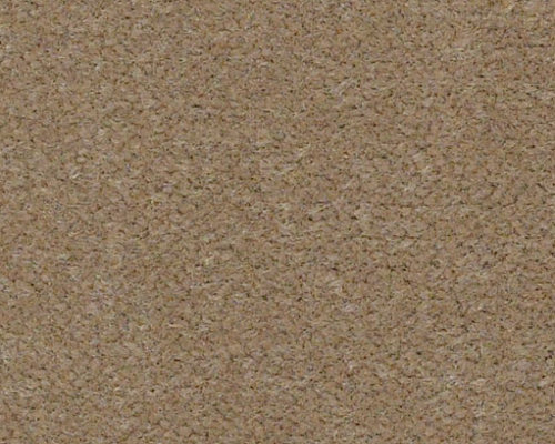 Emphatic Ii Philadelphia Commercial Emphatic II 30 56110 Timeless Nylon Carpet ...