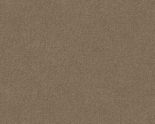 Philadelphia Commercial Emphatic II 30 56153 Clay Bisque Nylon Carpet ...