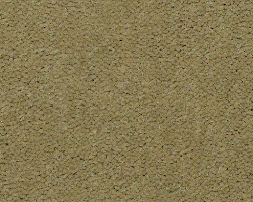 Philadelphia Commercial Emphatic II 30 56321 Tea Green Nylon Carpet ...