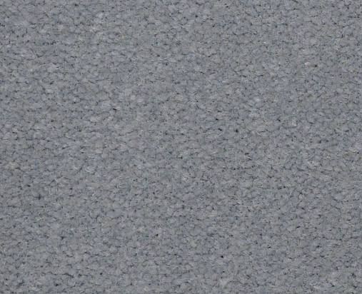 Philadelphia Commercial Emphatic II 36 56544 Platinum Nylon Carpet ...